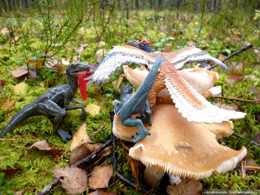 Лесные дела: Цокхор и его стая