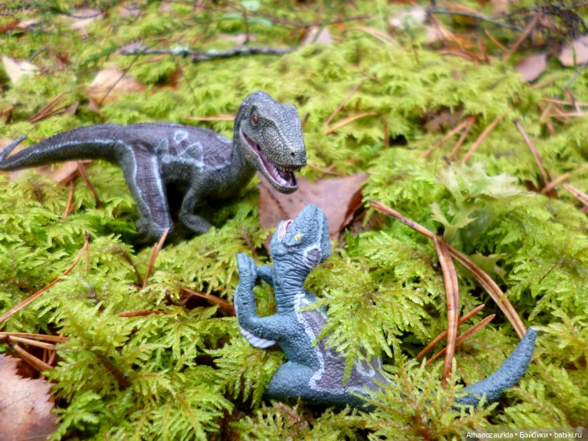 Лесные дела: Цокхор и его стая