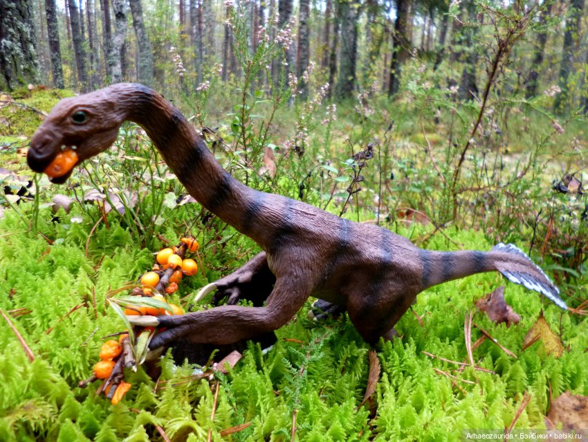 Лесные дела: Цокхор и его стая