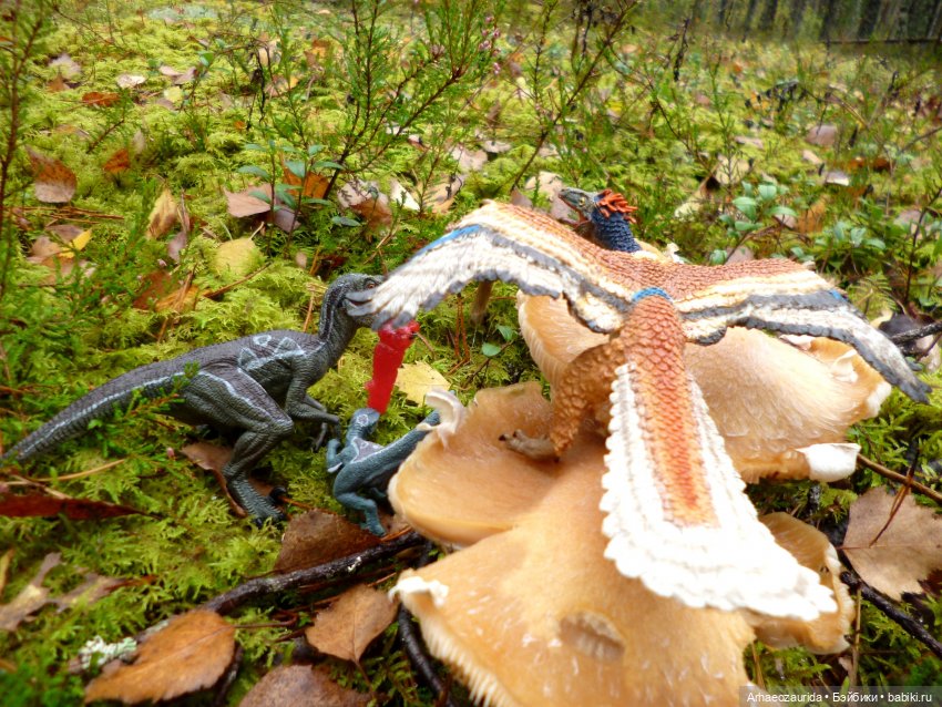 Лесные дела: Цокхор и его стая