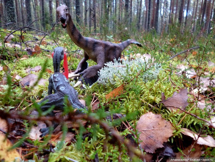 Лесные дела: Цокхор и его стая (фото 3)