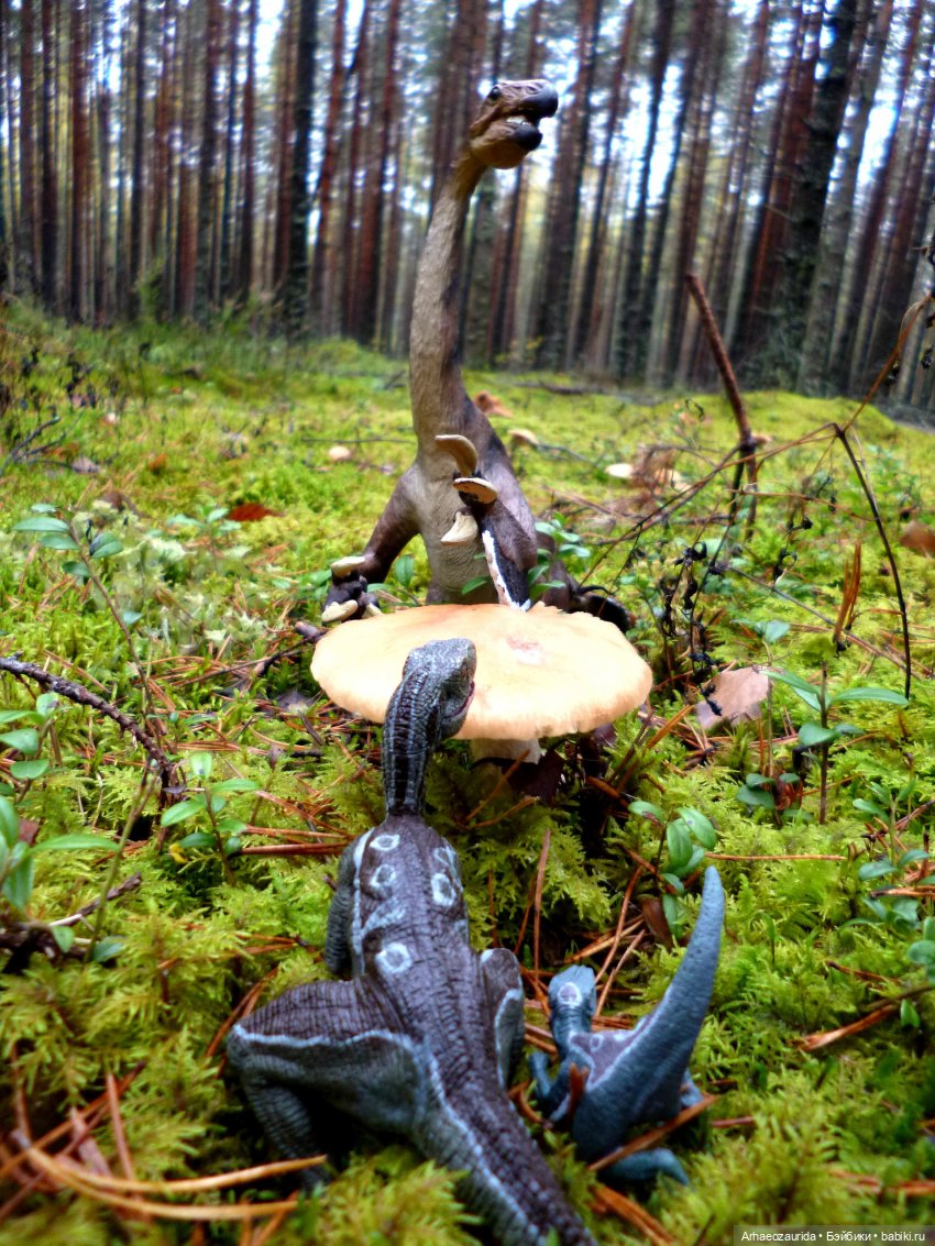 Лесные дела: Цокхор и его стая