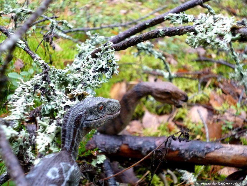 Лесные дела: Цокхор и его стая