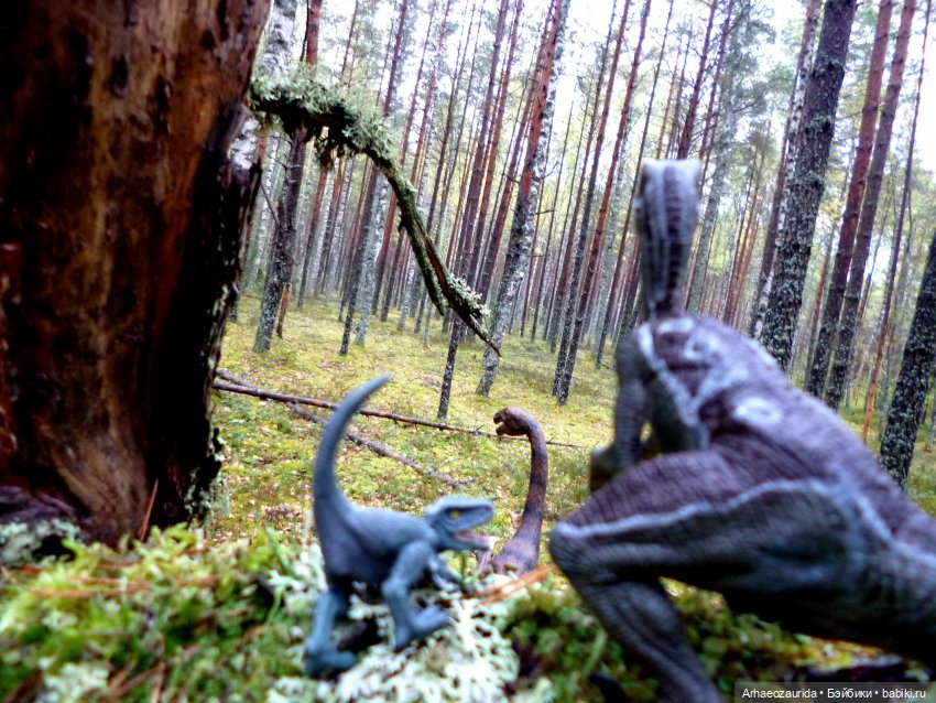 Лесные дела: Цокхор и его стая