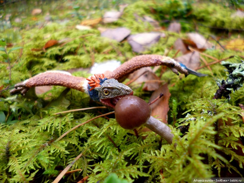 Лесные дела: Цокхор и его стая