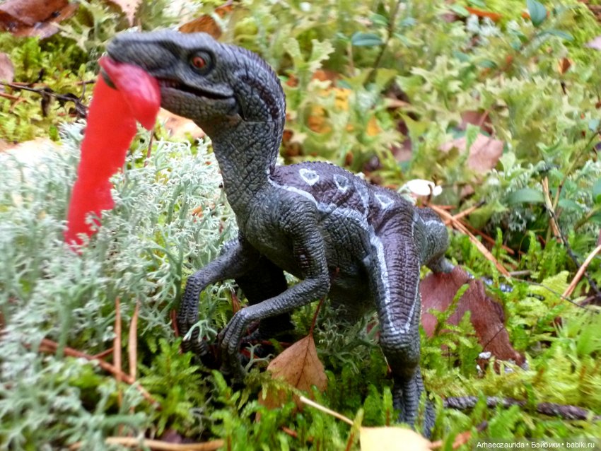 Лесные дела: Цокхор и его стая (фото 7)