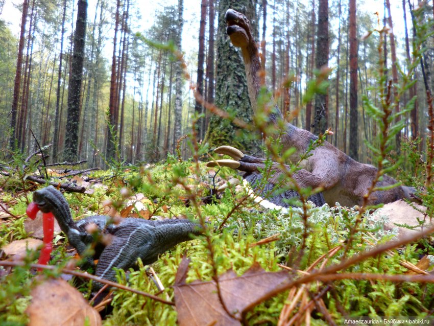 Лесные дела: Цокхор и его стая (фото 5)