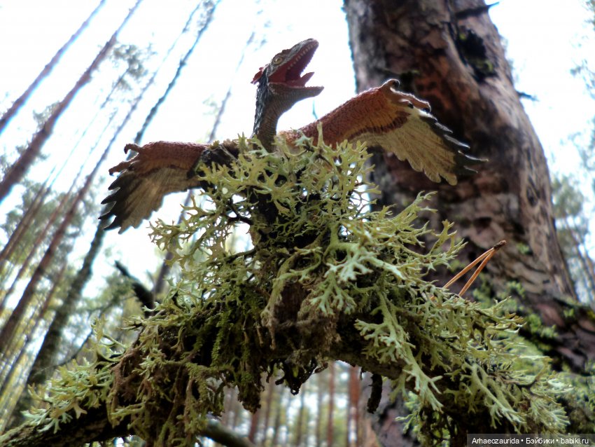 Лесные дела: Цокхор и его стая (фото 9)