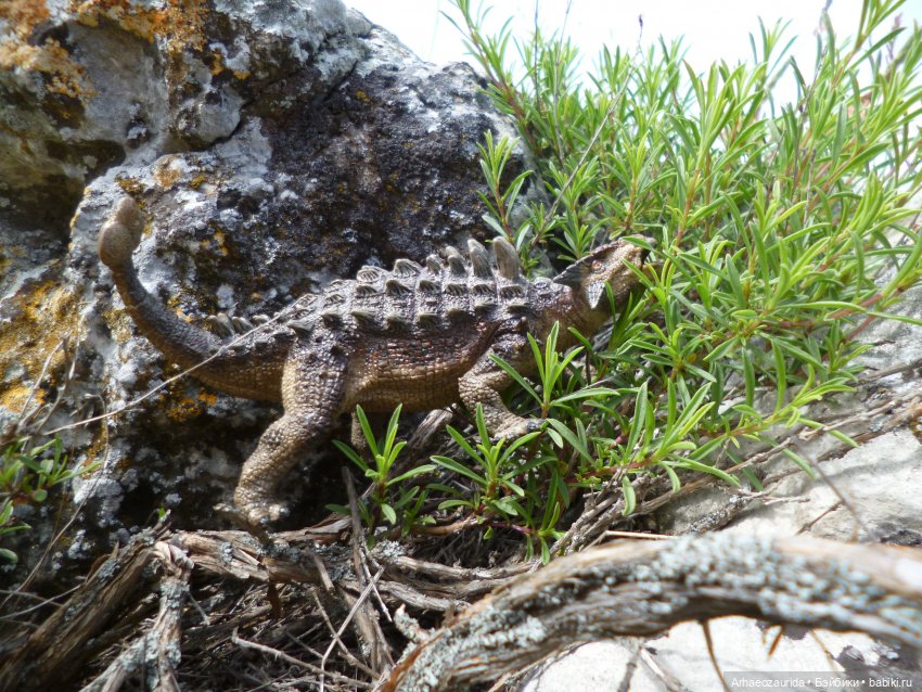 Анкилозавры идут к морю — Интересные игрушки и фигурки (разное): редкие (фото 4)