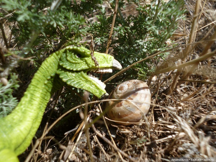Путь на север: Цемийн покидает скалы