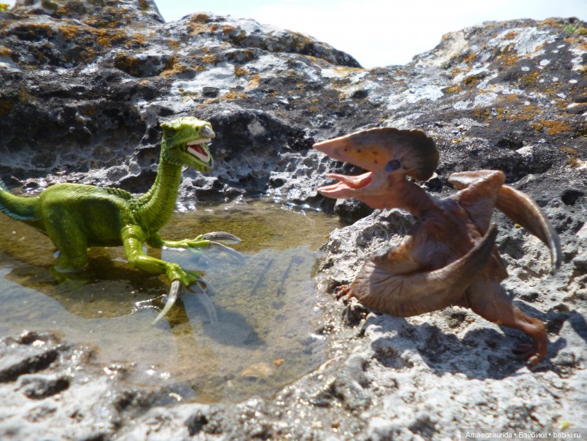 Путь на север: Цемийн покидает скалы