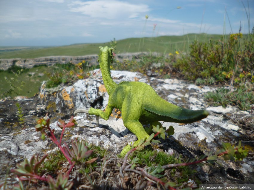 Путь на север: Цемийн покидает скалы