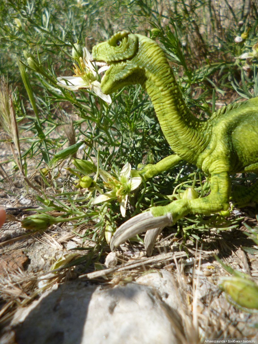 Путь на север: Цемийн покидает скалы