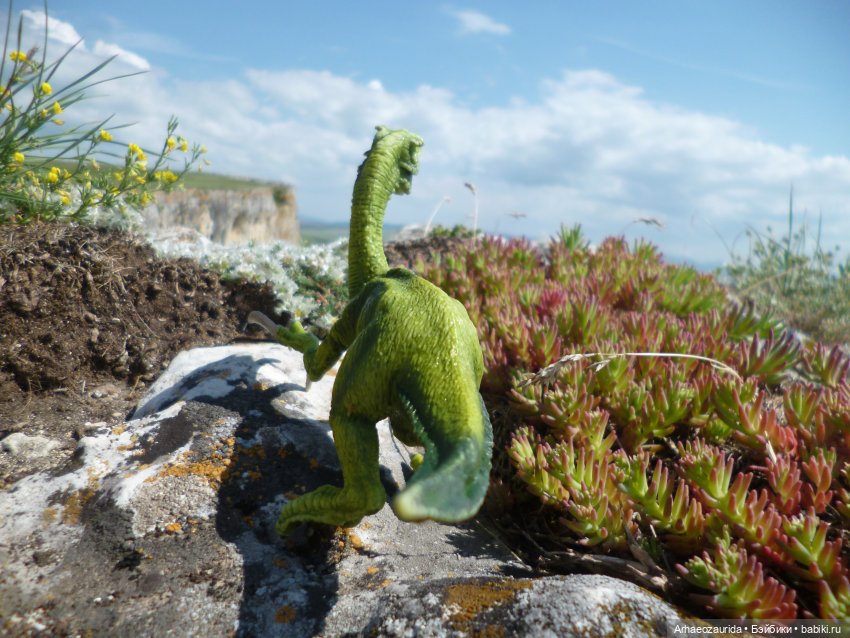 Путь на север: Цемийн покидает скалы (фото 2)