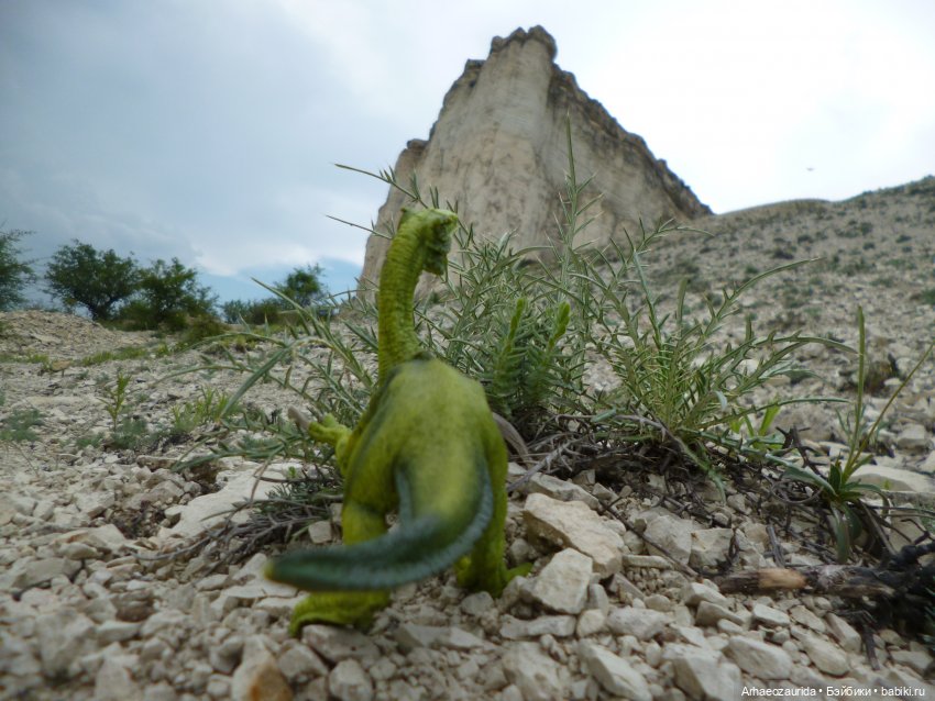 Путь на север: Цемийн покидает скалы