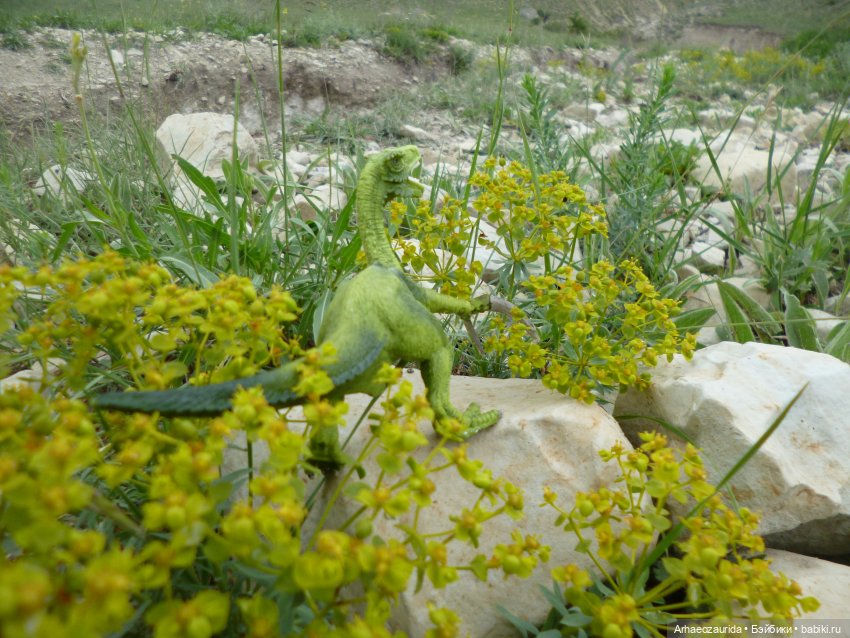Путь на север: Цемийн покидает скалы