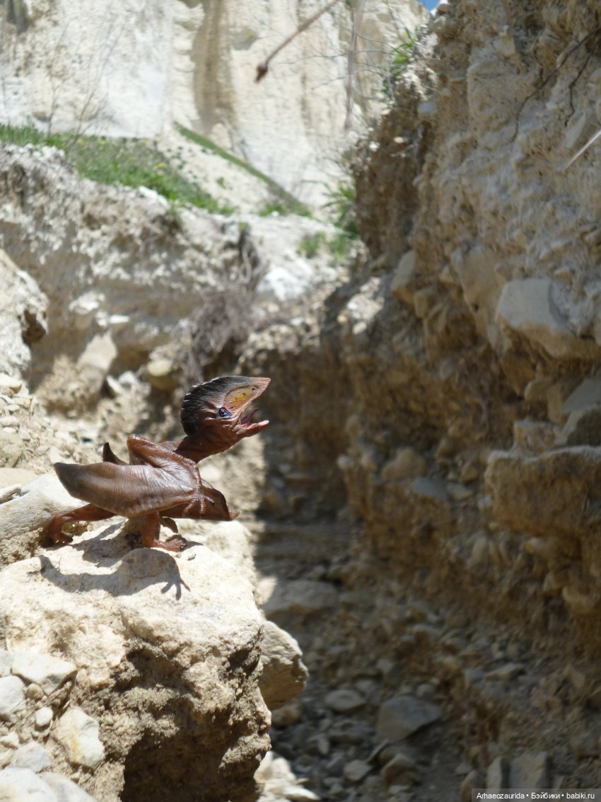Путь на север: Цемийн покидает скалы