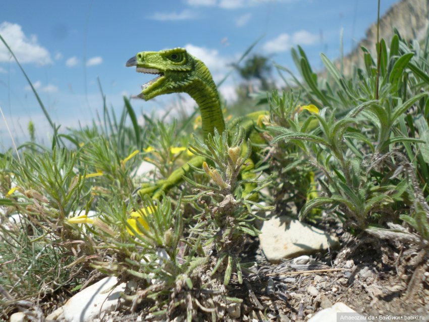 Путь на север: Цемийн покидает скалы