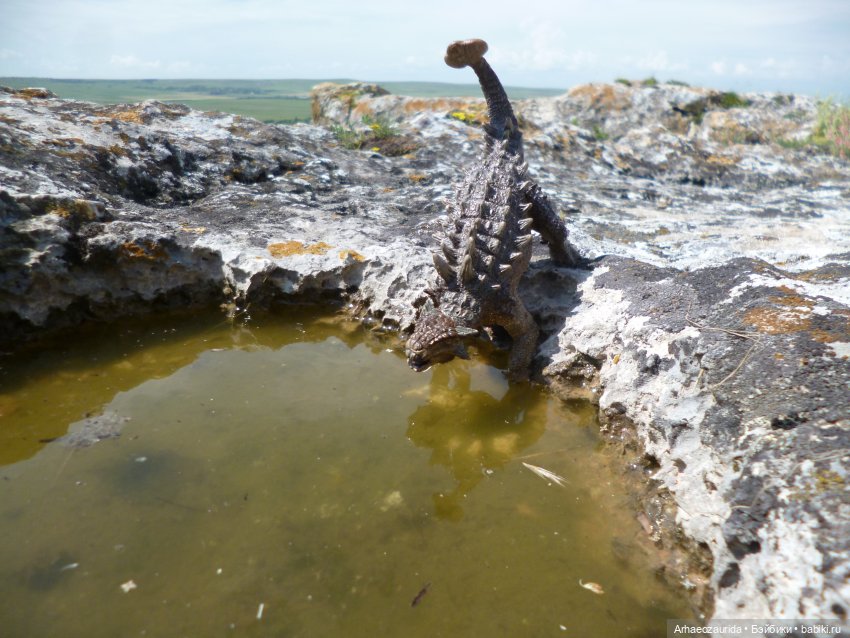Путь на север: Цемийн покидает скалы (фото 5)
