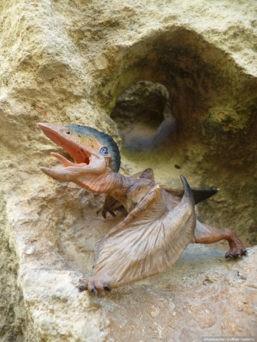 Путь на север: Цемийн покидает скалы (фото 8)