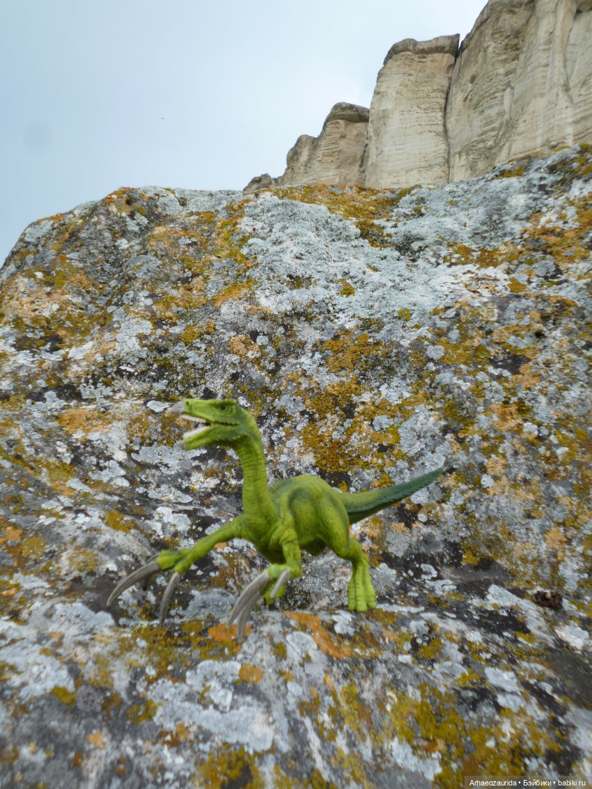 Путь на север: Цемийн покидает скалы