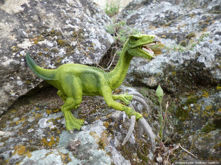 Путь на север: Цемийн покидает скалы