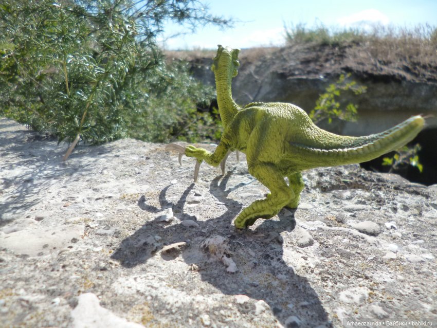 Путь на север: Цемийн покидает скалы