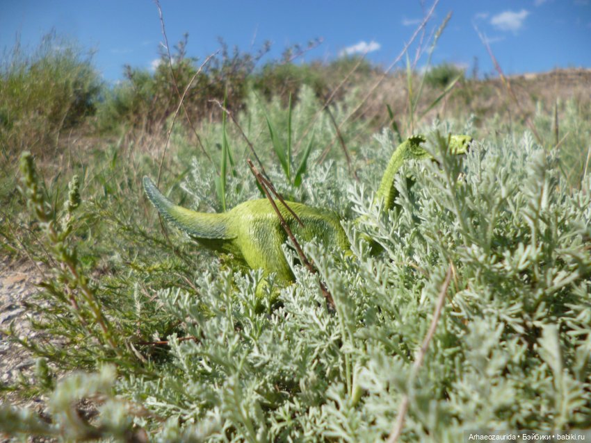 Путь на север: Цемийн покидает скалы