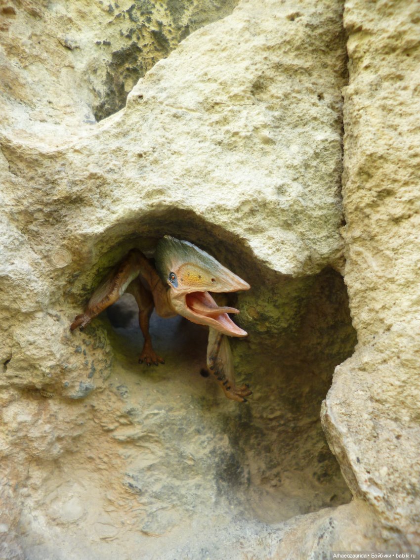 Путь на север: Цемийн покидает скалы (фото 7)