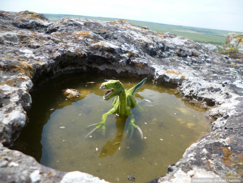 Путь на север: Цемийн покидает скалы (фото 3)