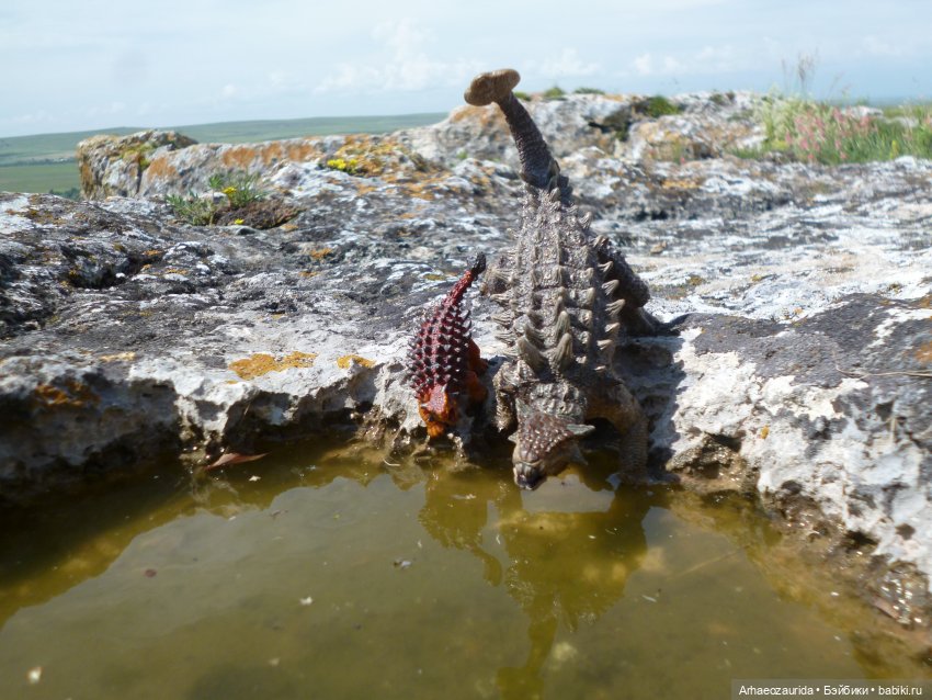 Путь на север: Цемийн покидает скалы (фото 6)