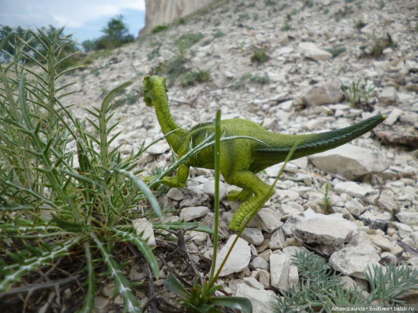 Путь на север: Цемийн покидает скалы