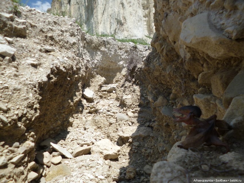 Путь на север: Цемийн покидает скалы