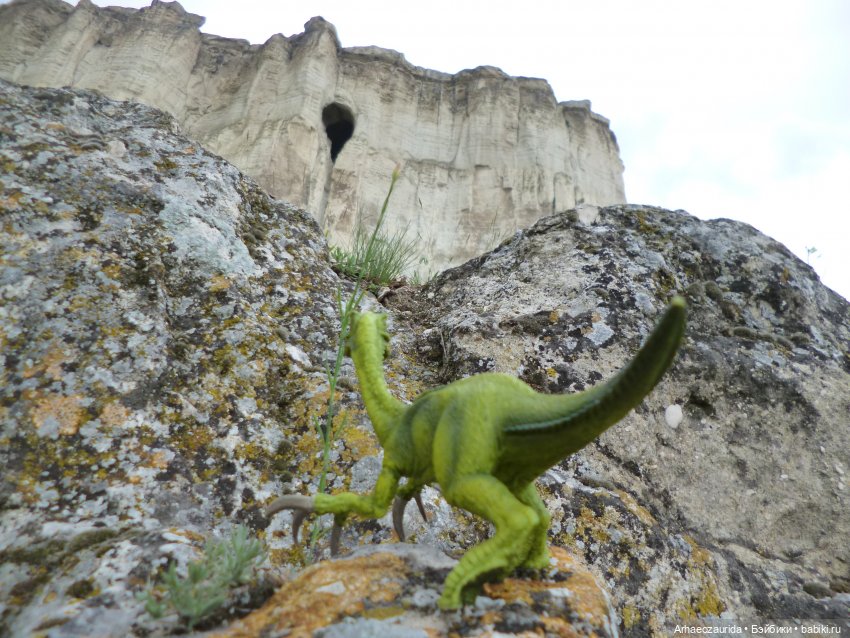 Путь на север: Цемийн покидает скалы