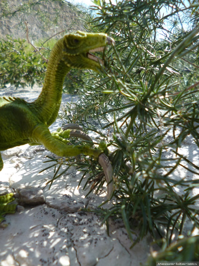 Путь на север: Цемийн покидает скалы