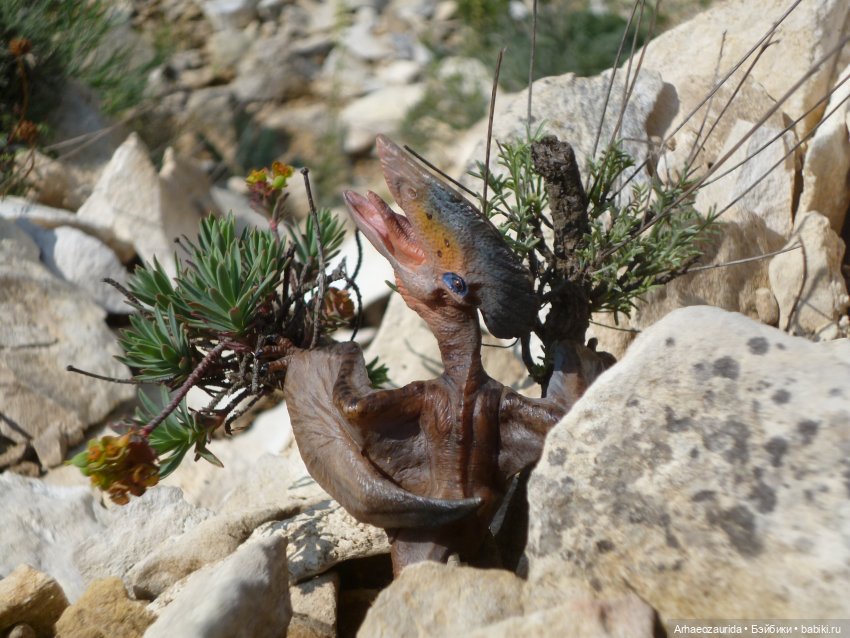 Путь на север: Цемийн покидает скалы