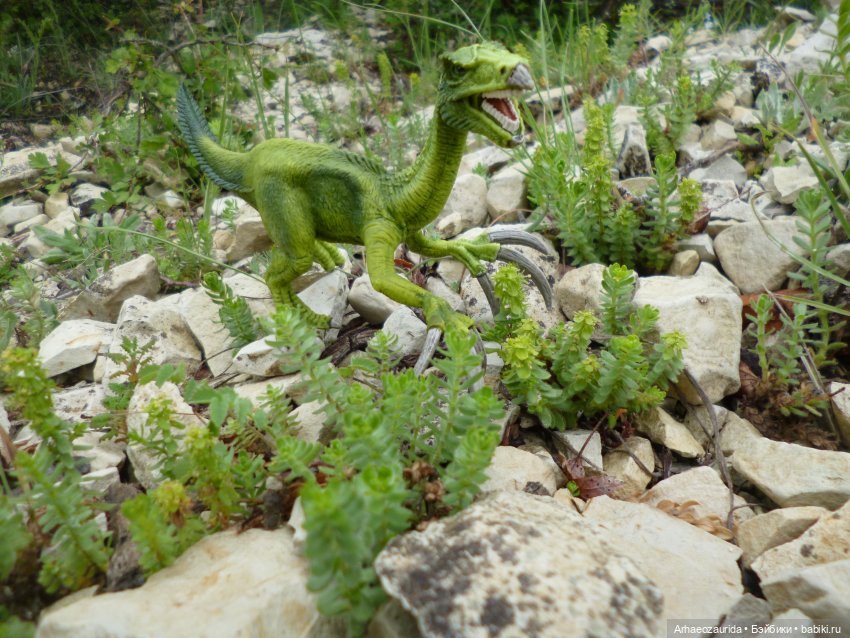 Путь на север: Цемийн покидает скалы