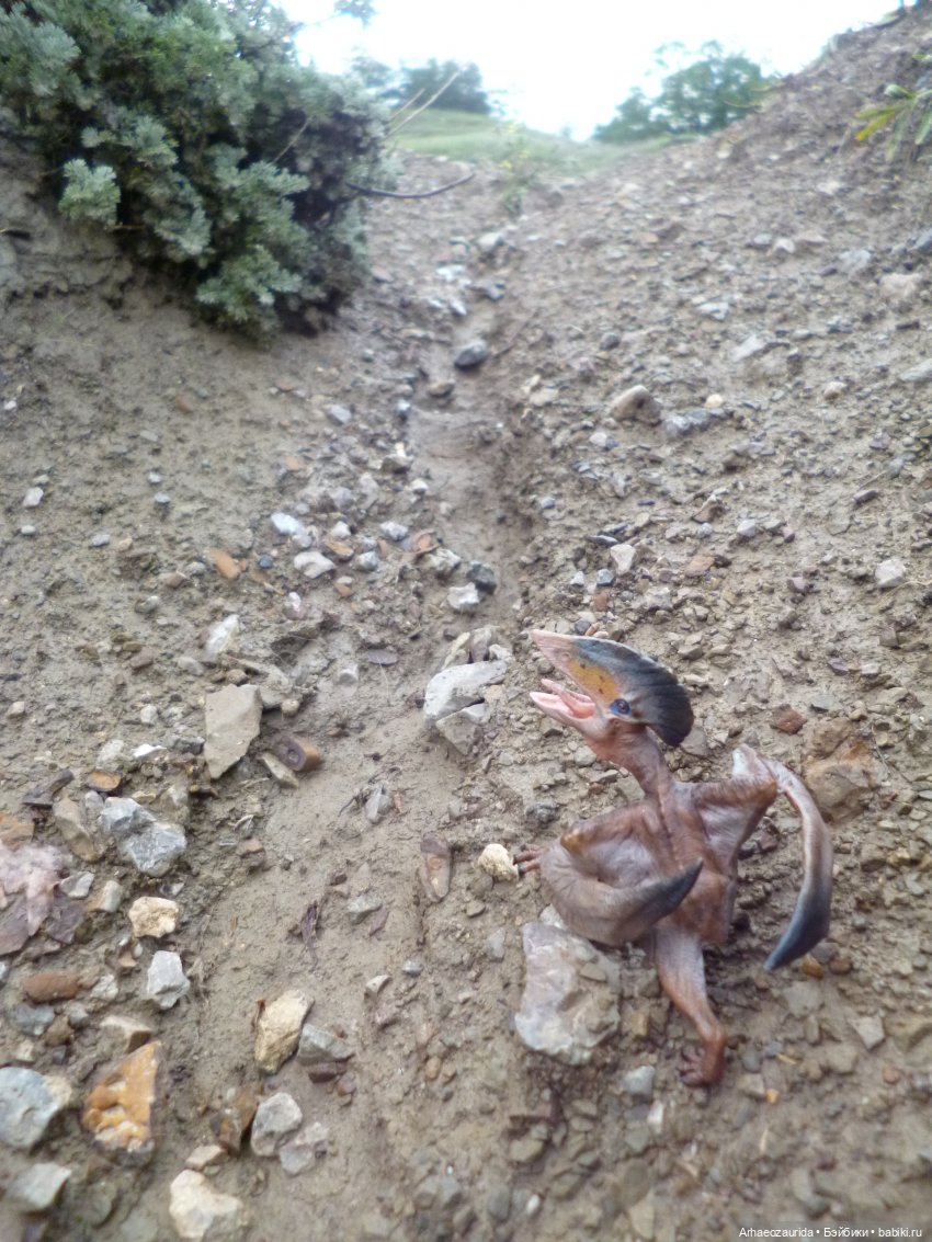 Путь на север: Цемийн покидает скалы (фото 9)