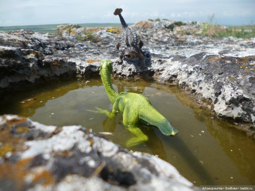 Путь на север: Цемийн покидает скалы (фото 4)
