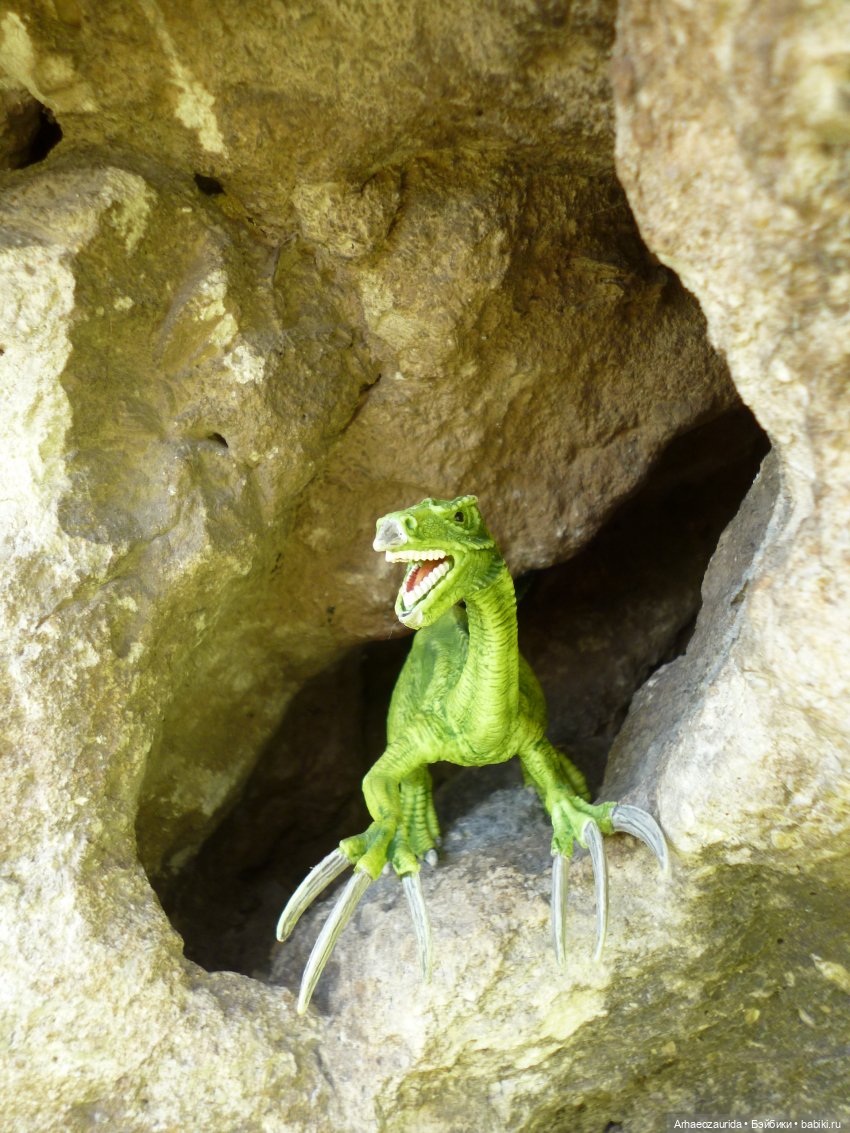 Путь на север: Цемийн покидает скалы