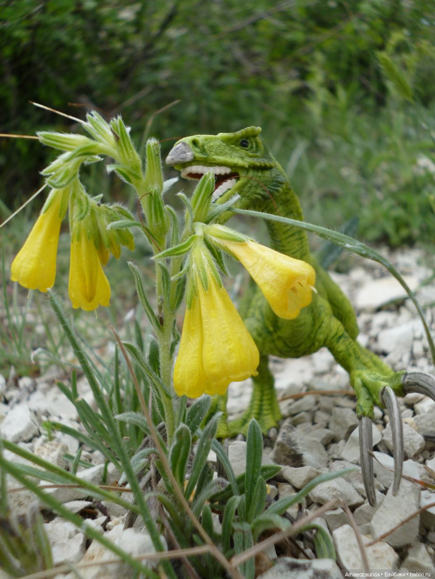Путь на север: Цемийн покидает скалы