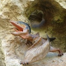 Путь на север: Цемийн покидает скалы