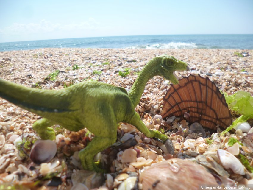 Путь на север: странные встречи