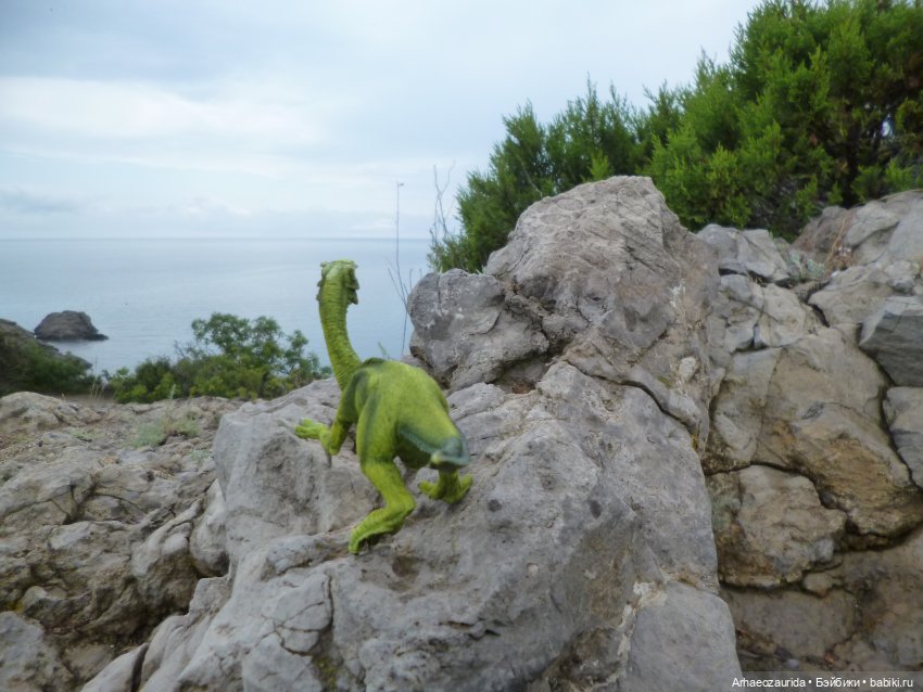 Путь на север: странные встречи (фото 5)