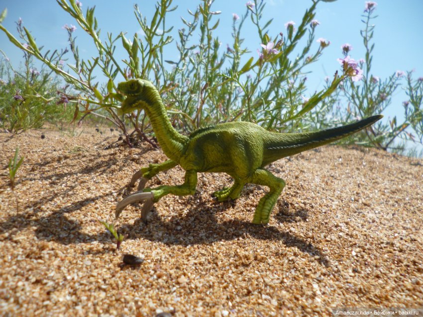 Путь на север: странные встречи