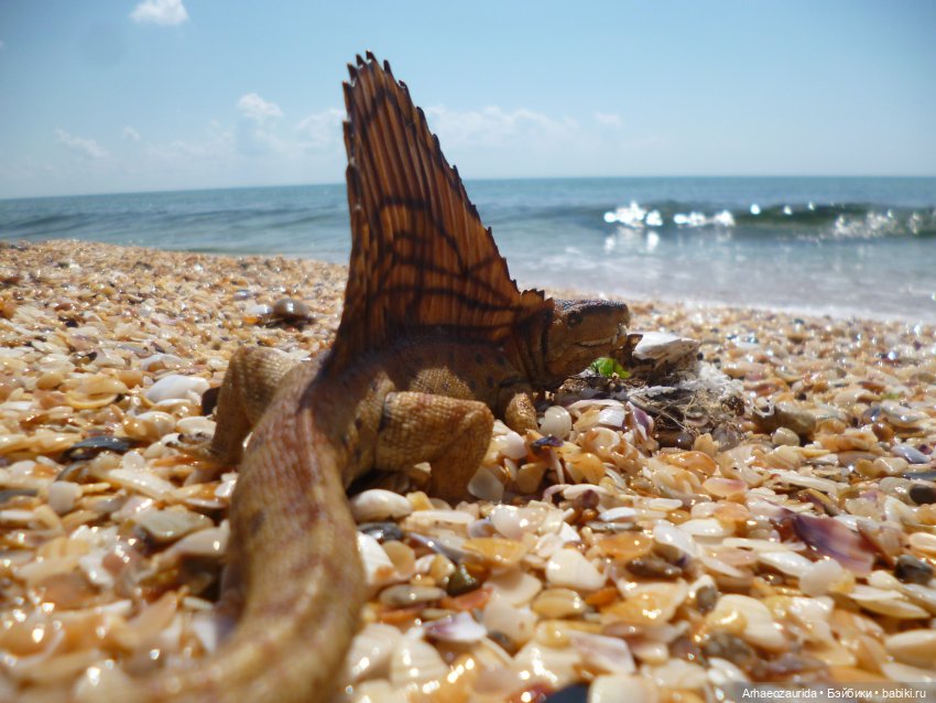 Путь на север: странные встречи