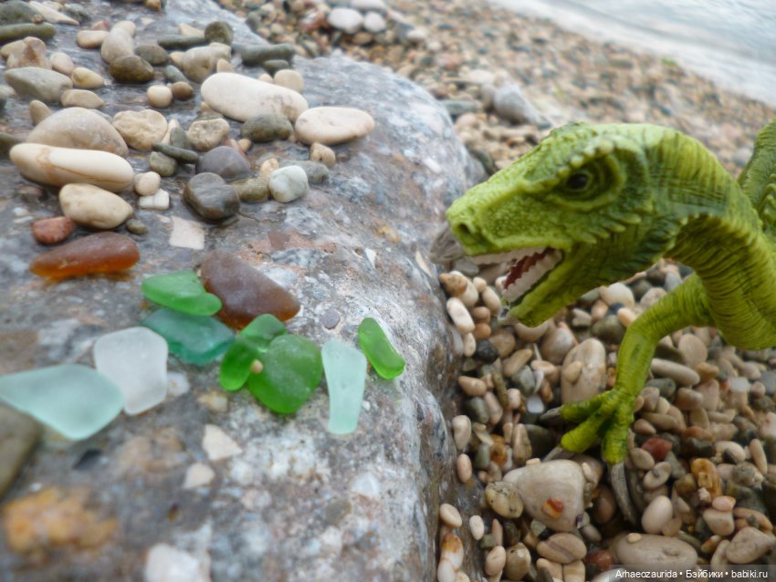 Путь на север: странные встречи (фото 10)