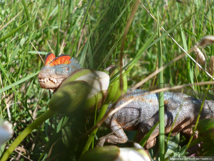 Путь на север: странные встречи (фото 3)