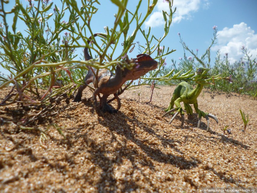 Путь на север: странные встречи