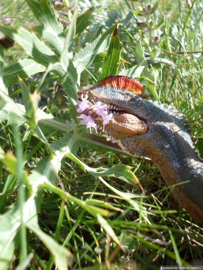 Путь на север: странные встречи (фото 2)